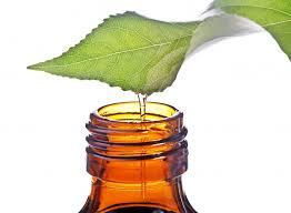 essentialoil4