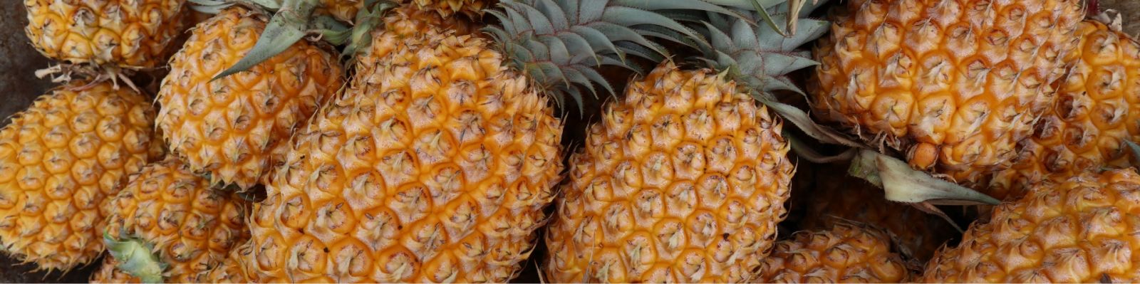 Helen's Haven Integrative Medical Spa photo 5