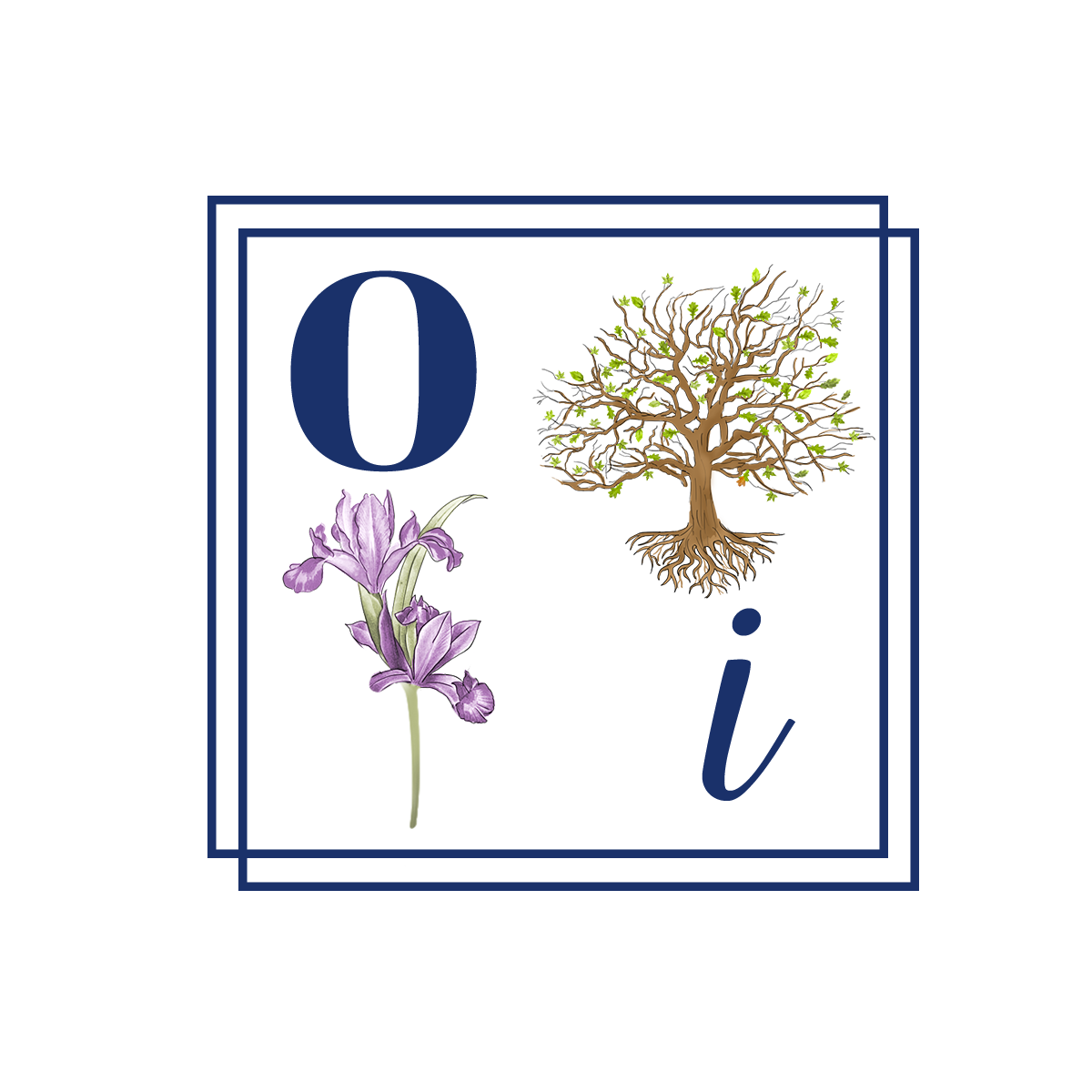 Oak + Iris