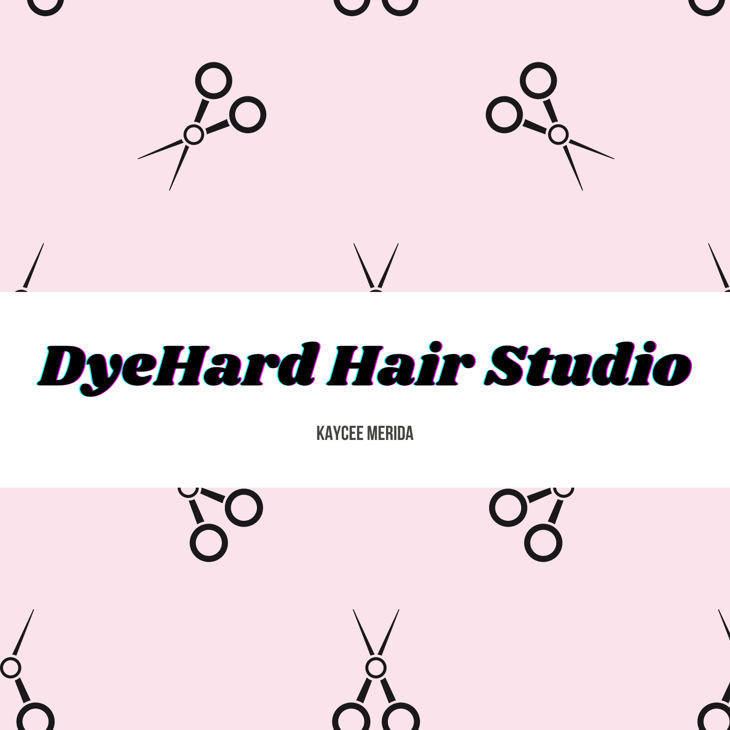 DyeHard Hair Studio- Phenix Salon Suites