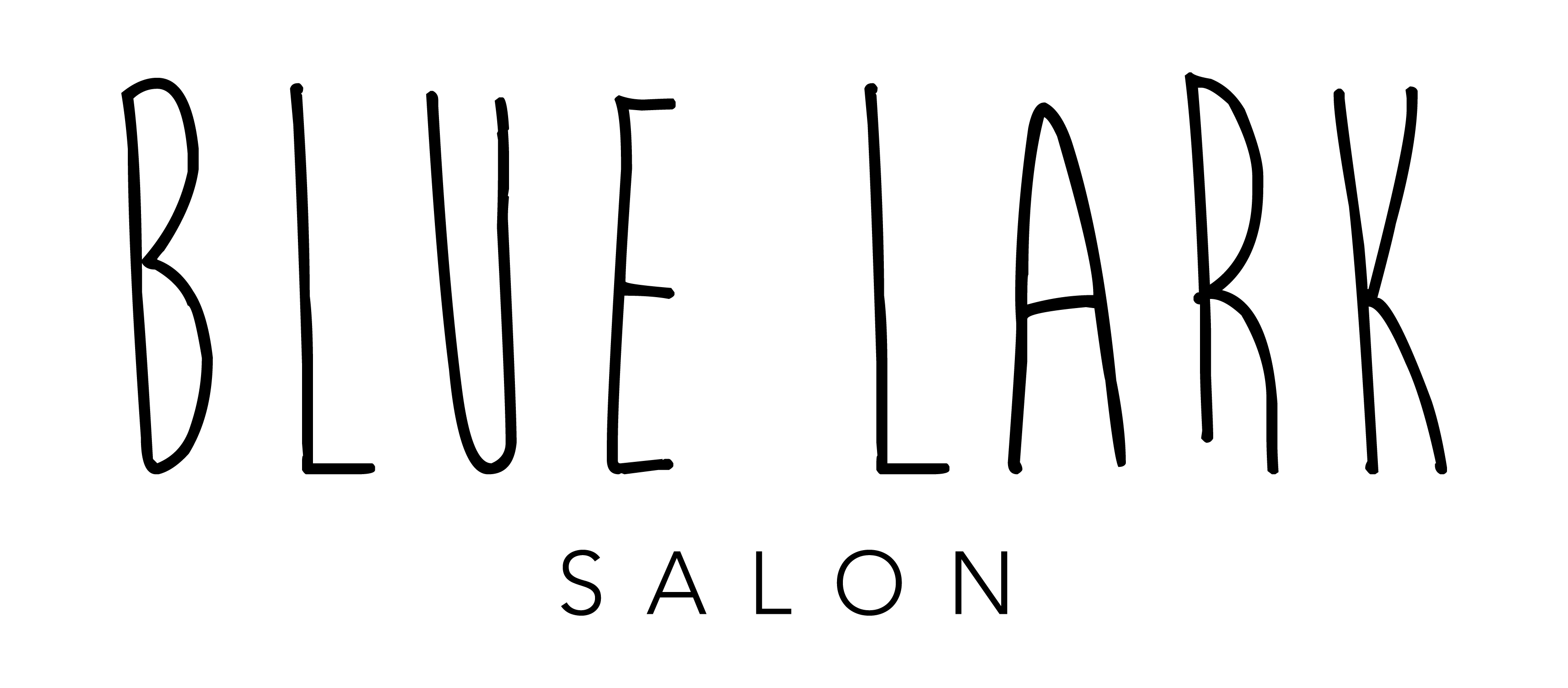 Blue Lark Salon