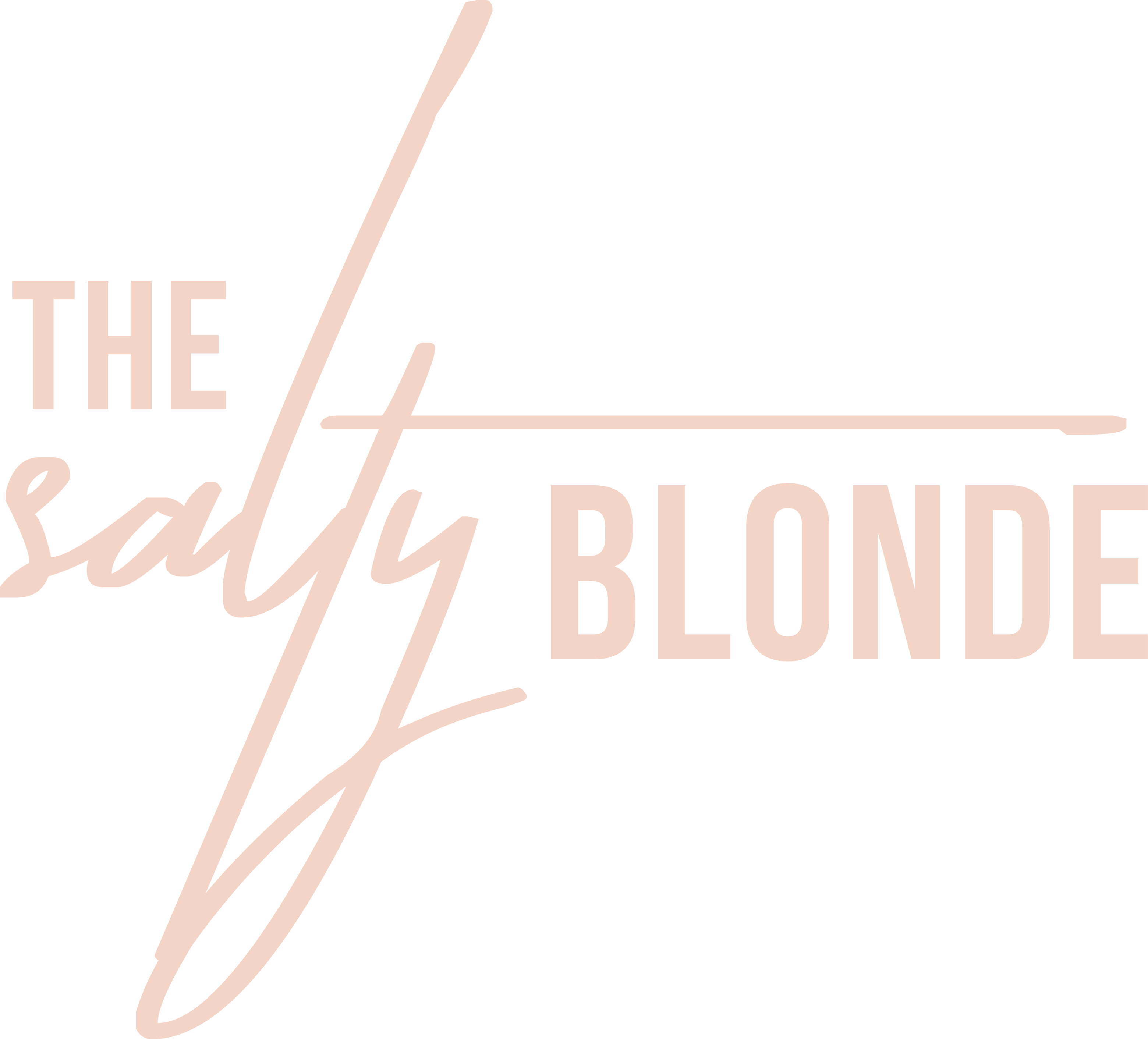 The Salty Blonde