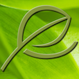 Verde Salon & Day Spa