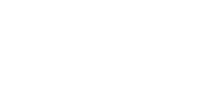 Salon True